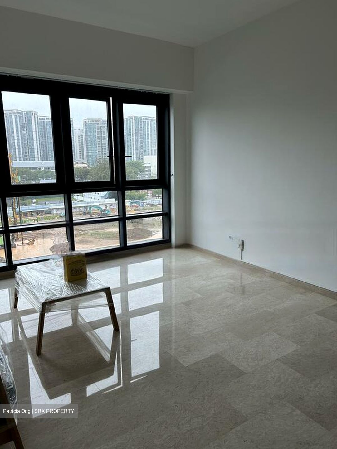 Haig Court (D15), Condominium #578655381